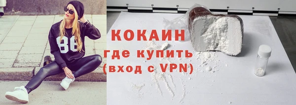 твердый Арсеньев