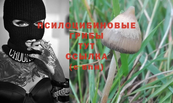 твердый Арсеньев